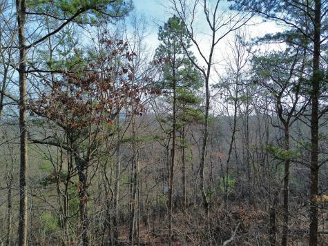 Tract 2 Century Lane Blue Ridge GA 30513