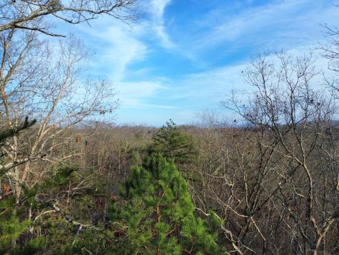 Tract 2 Century Lane Blue Ridge GA 30513