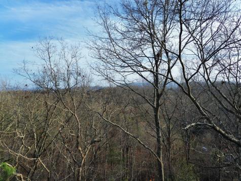 Tract 2 Century Lane Blue Ridge GA 30513