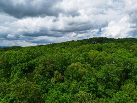 Tract 2 Century Lane Blue Ridge GA 30513