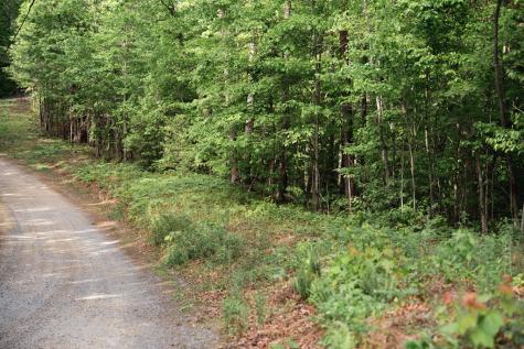 Tract 2 Century Lane Blue Ridge GA 30513