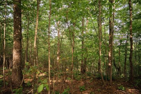 Tract 2 Century Lane Blue Ridge GA 30513