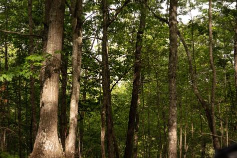 Tract 2 Century Lane Blue Ridge GA 30513