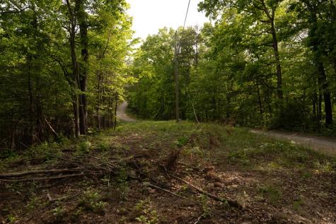 Tract 2 Century Lane Blue Ridge GA 30513