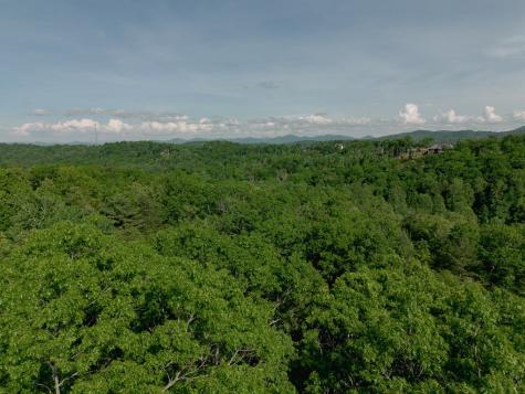 Tract 2 Century Lane Blue Ridge GA 30513