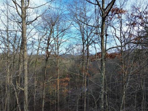 Tract 2 Century Lane Blue Ridge GA 30513