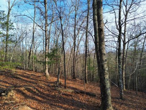 Tract 2 Century Lane Blue Ridge GA 30513