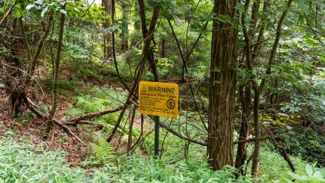 Lot 10 Papa Bear Path Cherry Log GA 30522