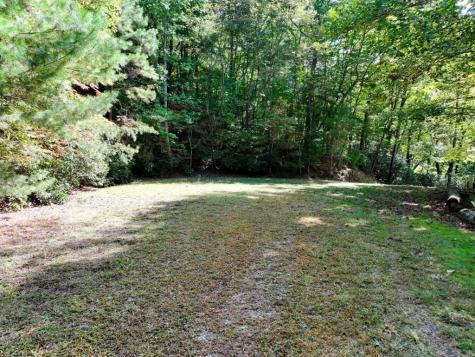 Lot 10 Papa Bear Path Cherry Log GA 30522