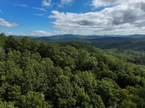 Lot 10 Papa Bear Path Cherry Log GA 30522