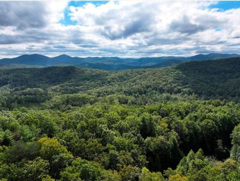 Lot 10 Papa Bear Path Cherry Log GA 30522