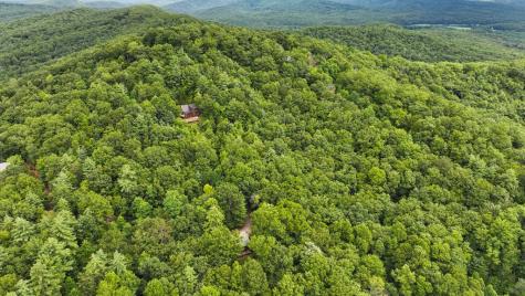 Lot 10 Papa Bear Path Cherry Log GA 30522