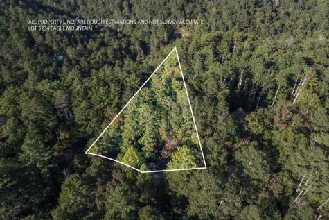 Lot 3234 Eagle Mountain Ellijay GA 30536