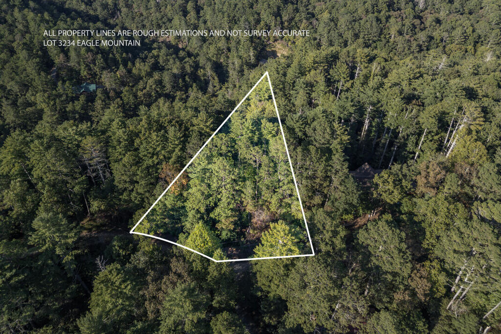 Lot 3234 Eagle Mountain Ellijay GA 30536