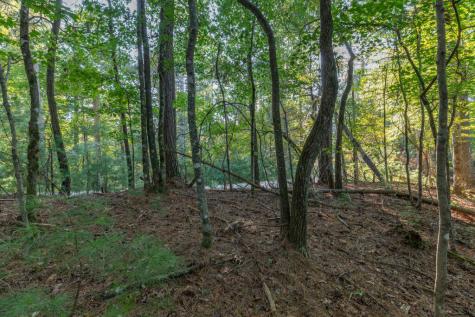 Lot 3234 Eagle Mountain Ellijay GA 30536