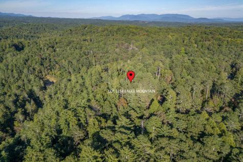 Lot 3234 Eagle Mountain Ellijay GA 30536