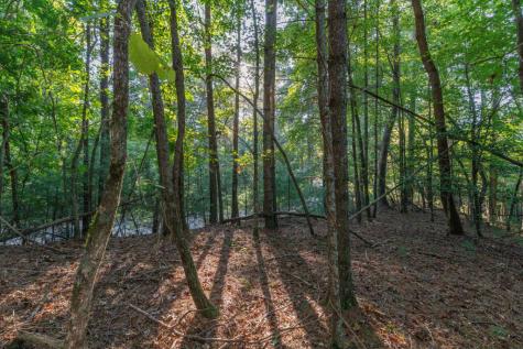 Lot 3234 Eagle Mountain Ellijay GA 30536