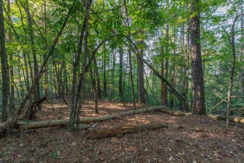 Lot 3234 Eagle Mountain Ellijay GA 30536