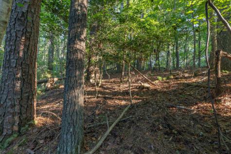 Lot 3234 Eagle Mountain Ellijay GA 30536