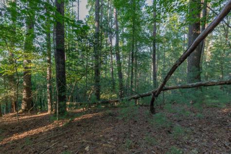 Lot 3234 Eagle Mountain Ellijay GA 30536