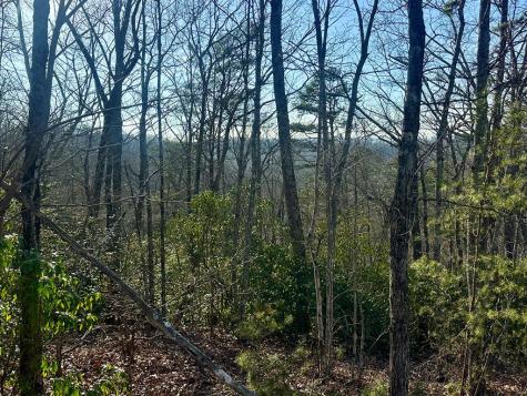 Lot 34 Blue Horizon Drive Blue Ridge GA 30513