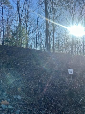 Lot 34 Blue Horizon Drive Blue Ridge GA 30513