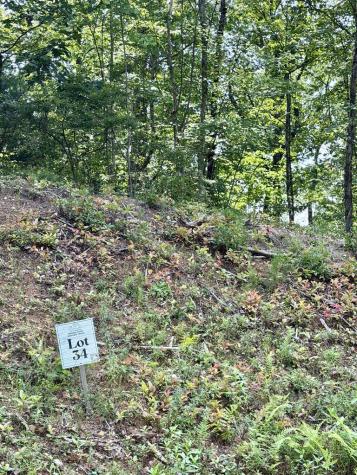 Lot 34 Blue Horizon Drive Blue Ridge GA 30513