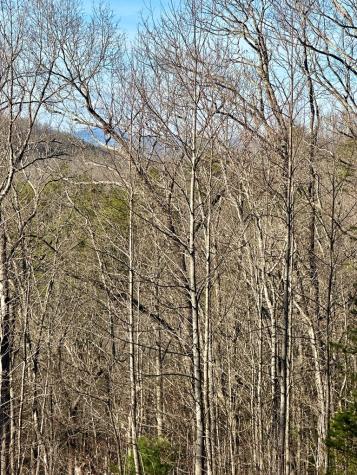 Lot 34 Blue Horizon Drive Blue Ridge GA 30513