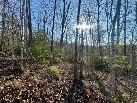 Lot 34 Blue Horizon Drive Blue Ridge GA 30513