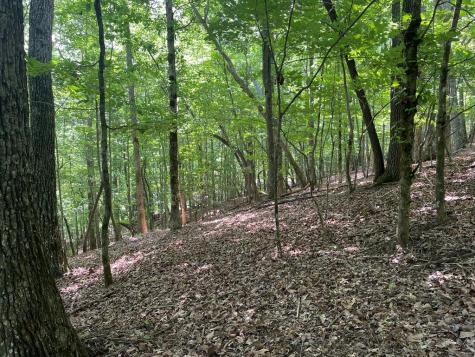 Lot 11 Brumby Run Blairsville GA 30512