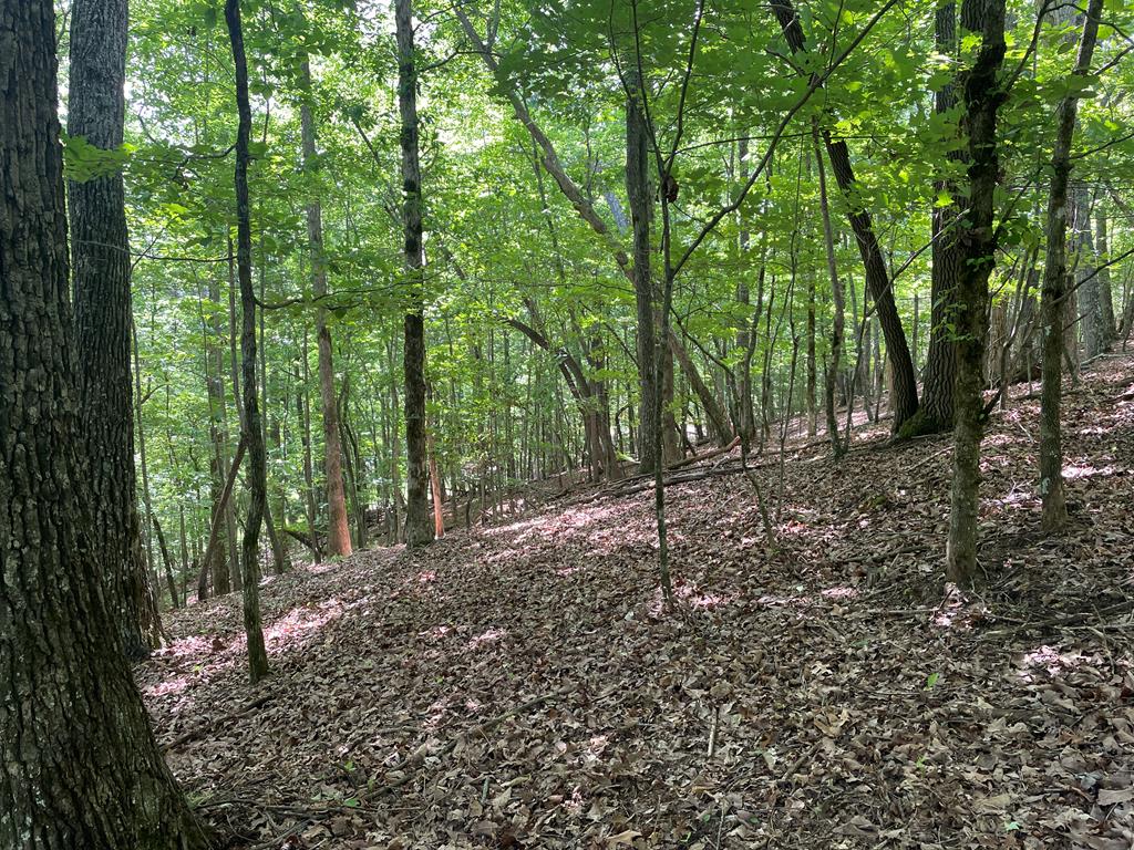 Lot 11 Brumby Run Blairsville GA 30512