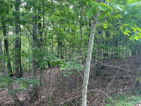 Lot 11 Brumby Run Blairsville GA 30512