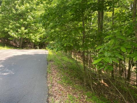 Lot 11 Brumby Run Blairsville GA 30512