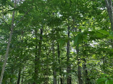 Lot 11 Brumby Run Blairsville GA 30512