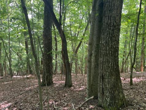 Lot 11 Brumby Run Blairsville GA 30512
