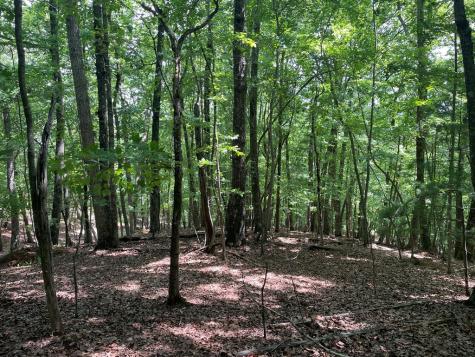 Lot 11 Brumby Run Blairsville GA 30512