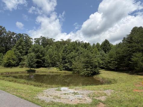 7129 Tantrough Farms Hiawassee GA 30546