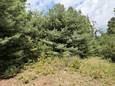 7129 Tantrough Farms Hiawassee GA 30546