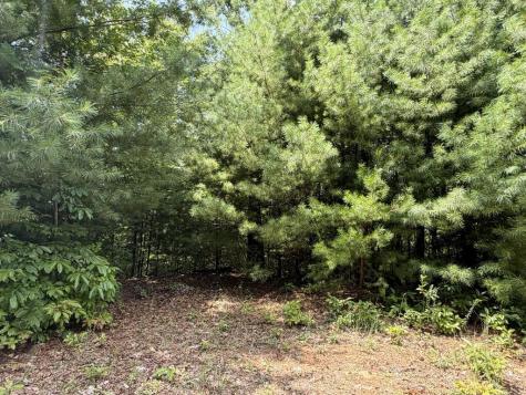 7129 Tantrough Farms Hiawassee GA 30546