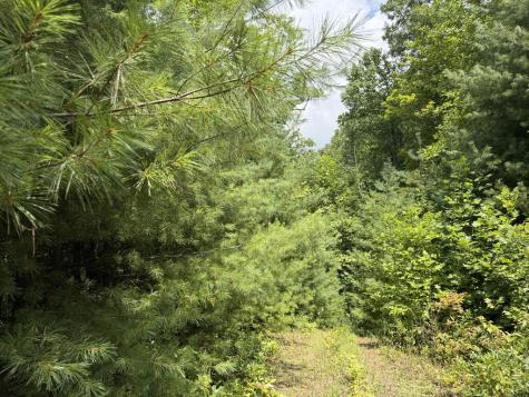 7129 Tantrough Farms Hiawassee GA 30546