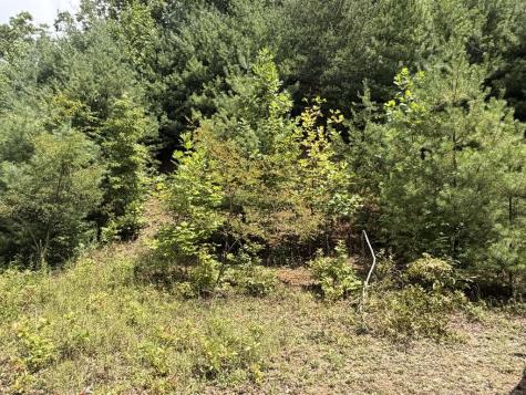 7129 Tantrough Farms Hiawassee GA 30546