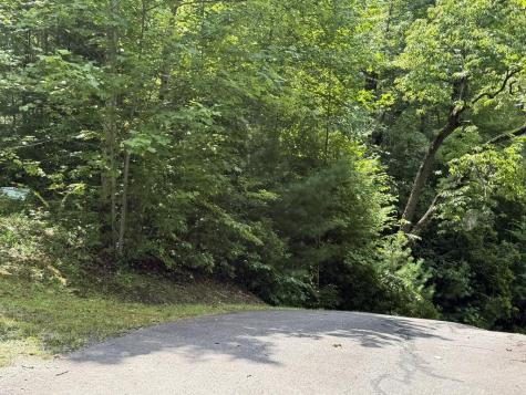 7129 Tantrough Farms Hiawassee GA 30546