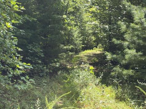 7129 Tantrough Farms Hiawassee GA 30546