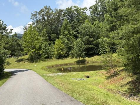 7129 Tantrough Farms Hiawassee GA 30546