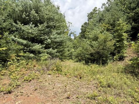 7129 Tantrough Farms Hiawassee GA 30546