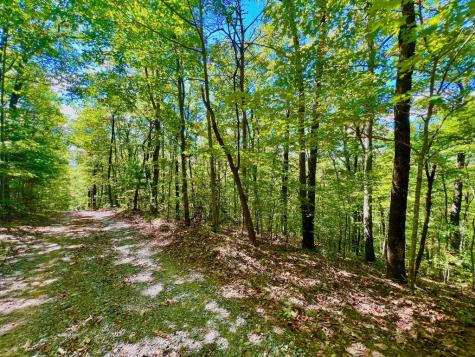 00 Double Knob Road Ellijay GA 30540