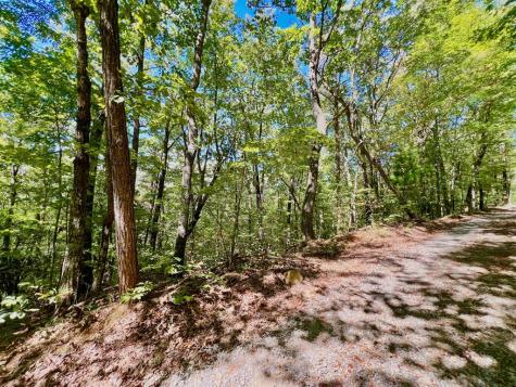 00 Double Knob Road Ellijay GA 30540