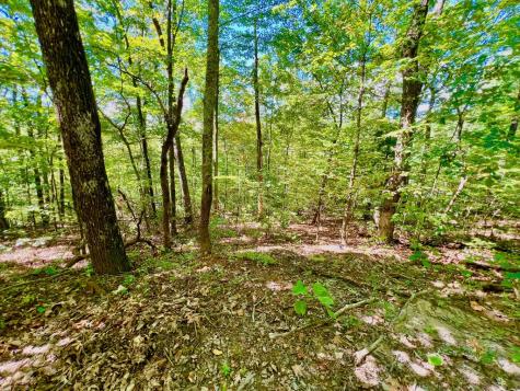 00 Double Knob Road Ellijay GA 30540