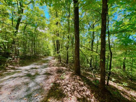 00 Double Knob Road Ellijay GA 30540