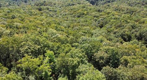 00 Double Knob Road Ellijay GA 30540